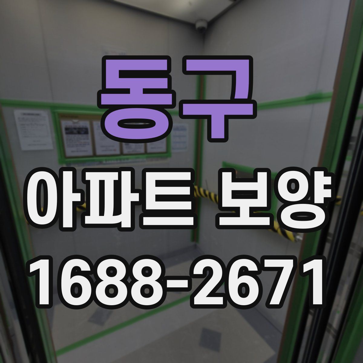 동구 아파트 보양