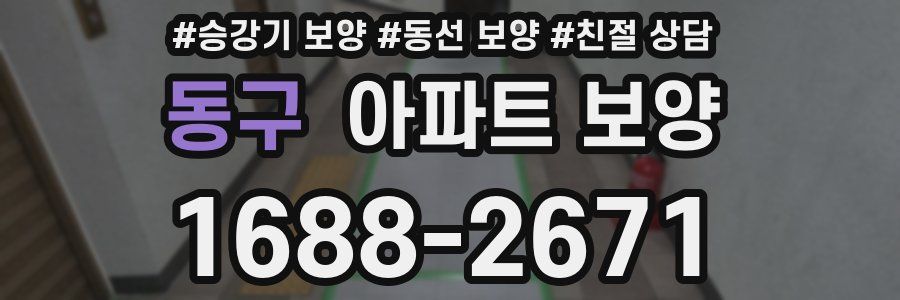 동구 아파트 보양