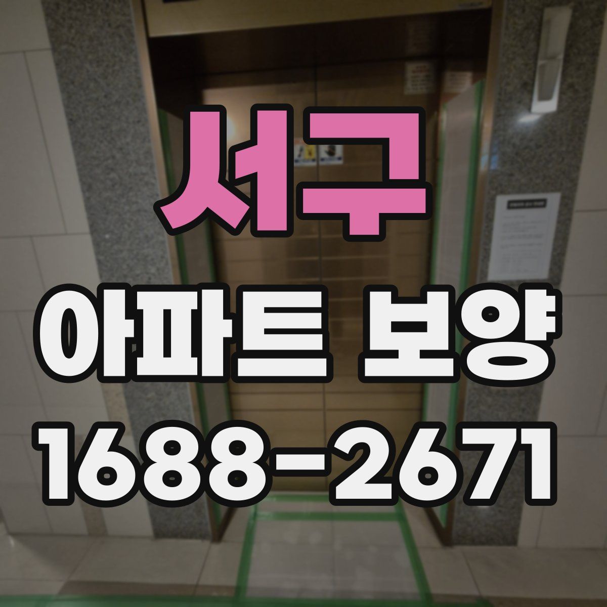서구 아파트 보양