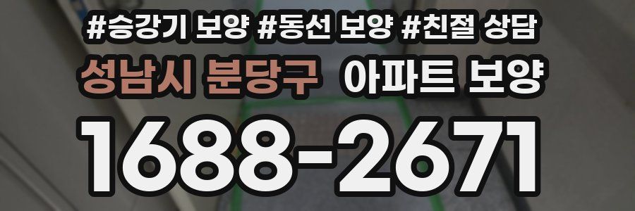 성남시 분당구 아파트 보양