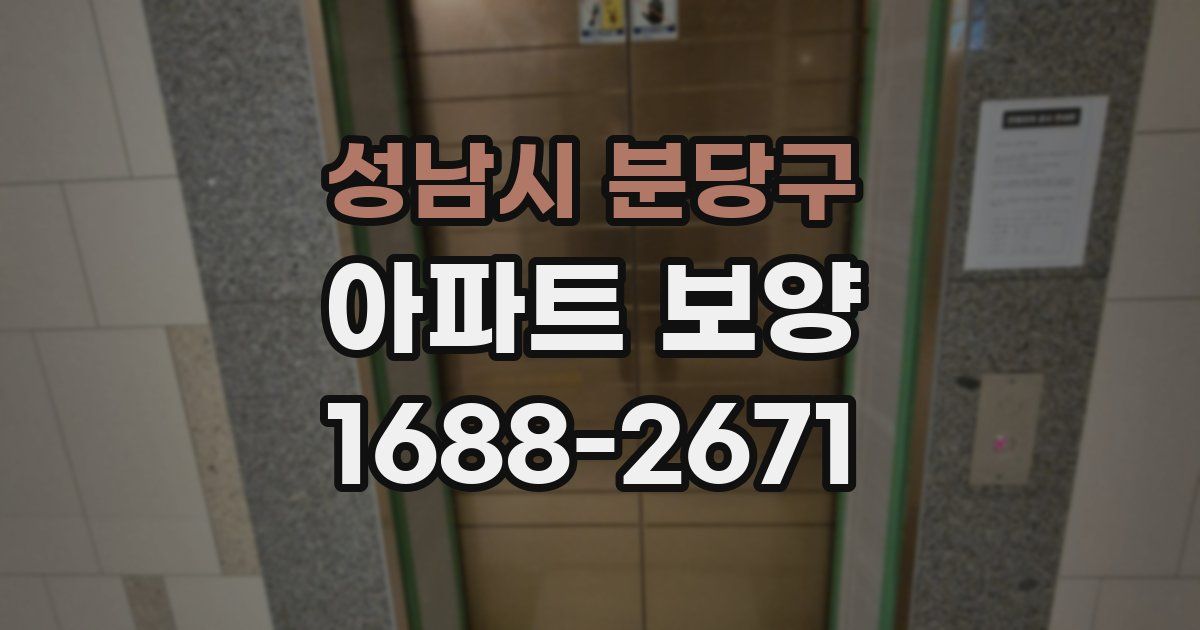 성남시 분당구 아파트 보양