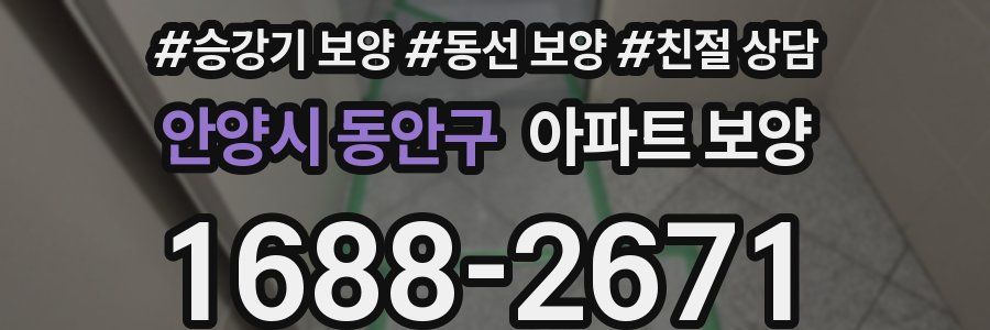 안양시 동안구 아파트 보양