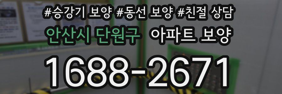 안산시 단원구 아파트 보양