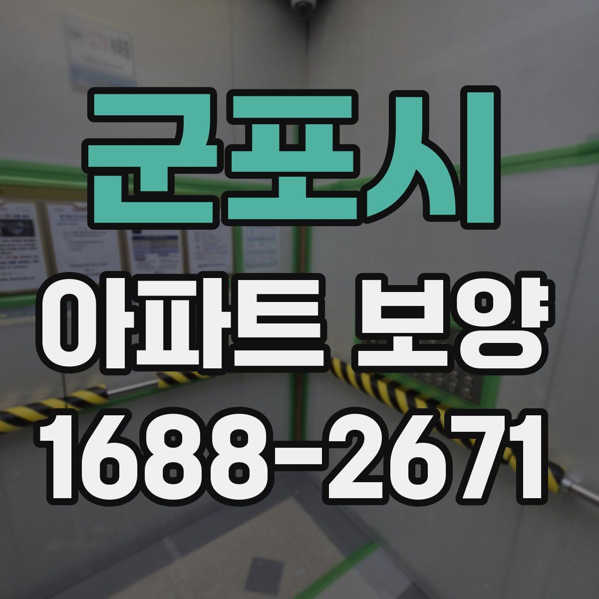군포시 아파트 보양