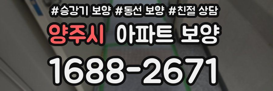 양주시 아파트 보양