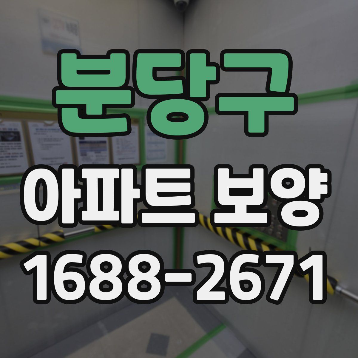 분당구 아파트 보양