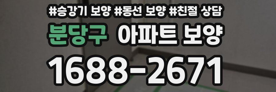 분당구 아파트 보양