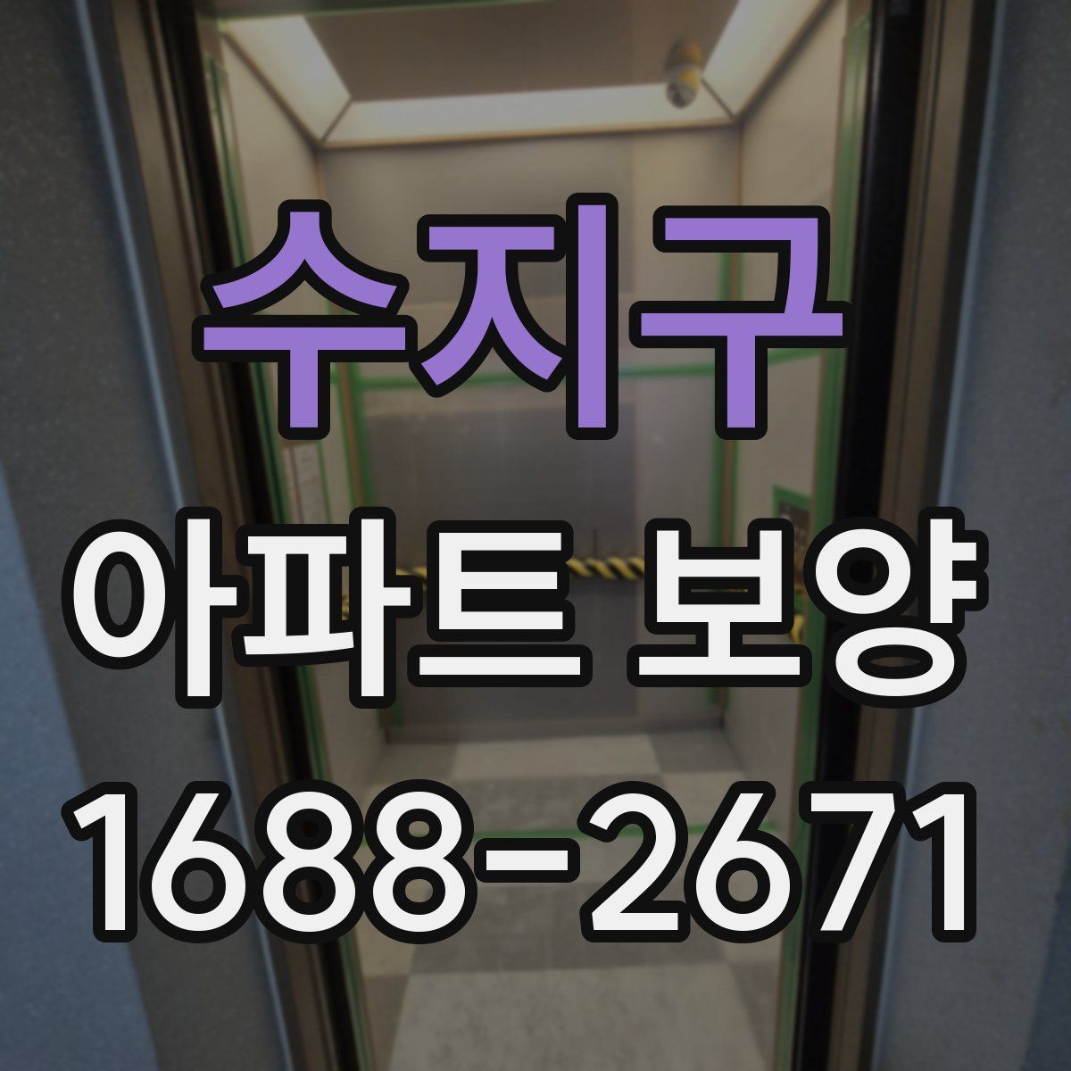 수지구 아파트 보양