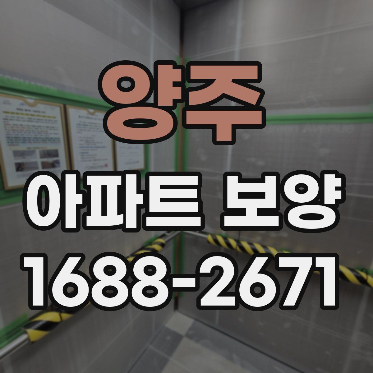 양주 아파트 보양