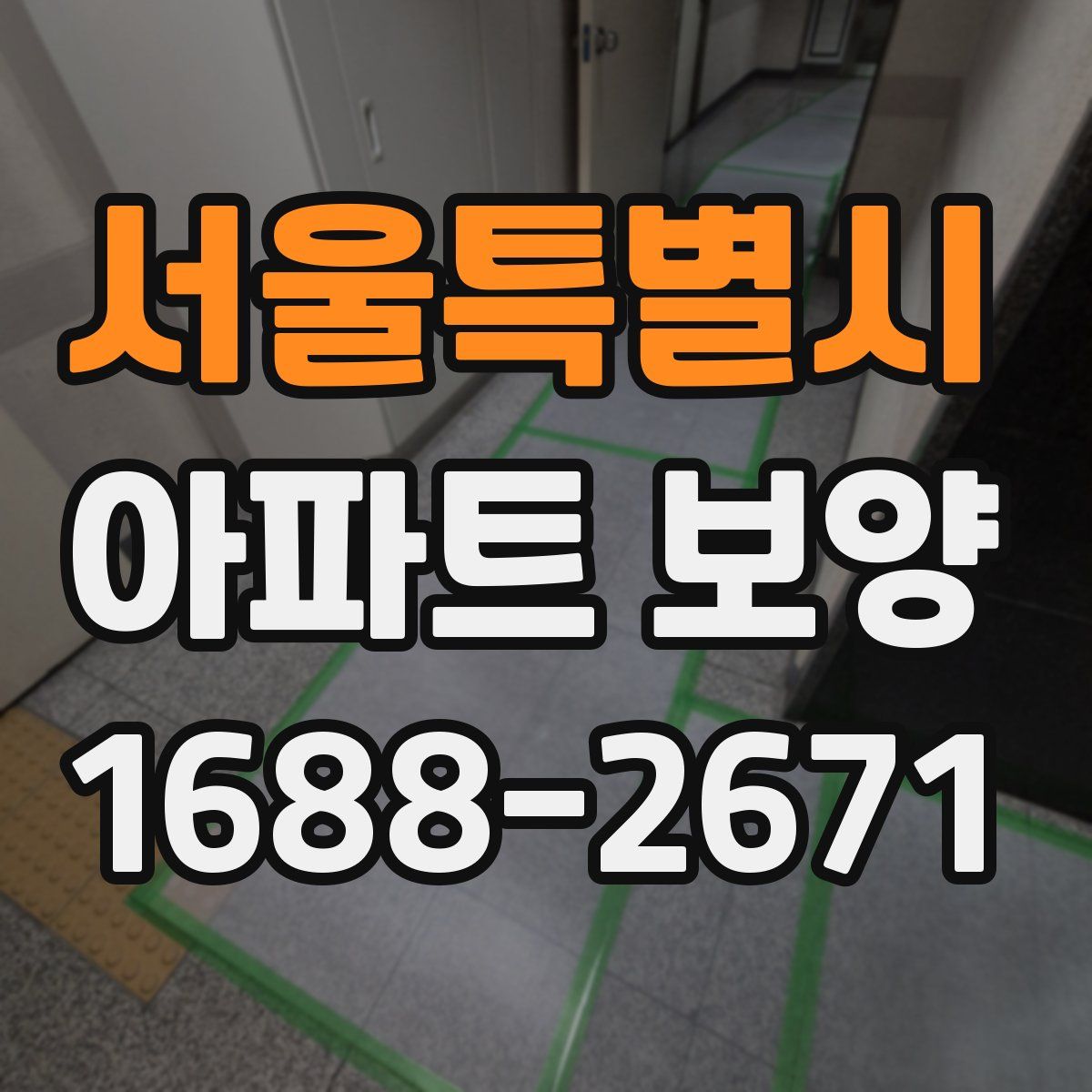 서울특별시 아파트 보양