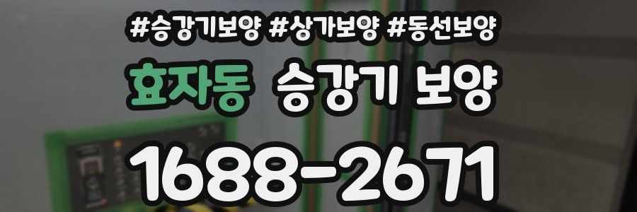 효자동 승강기 보양
