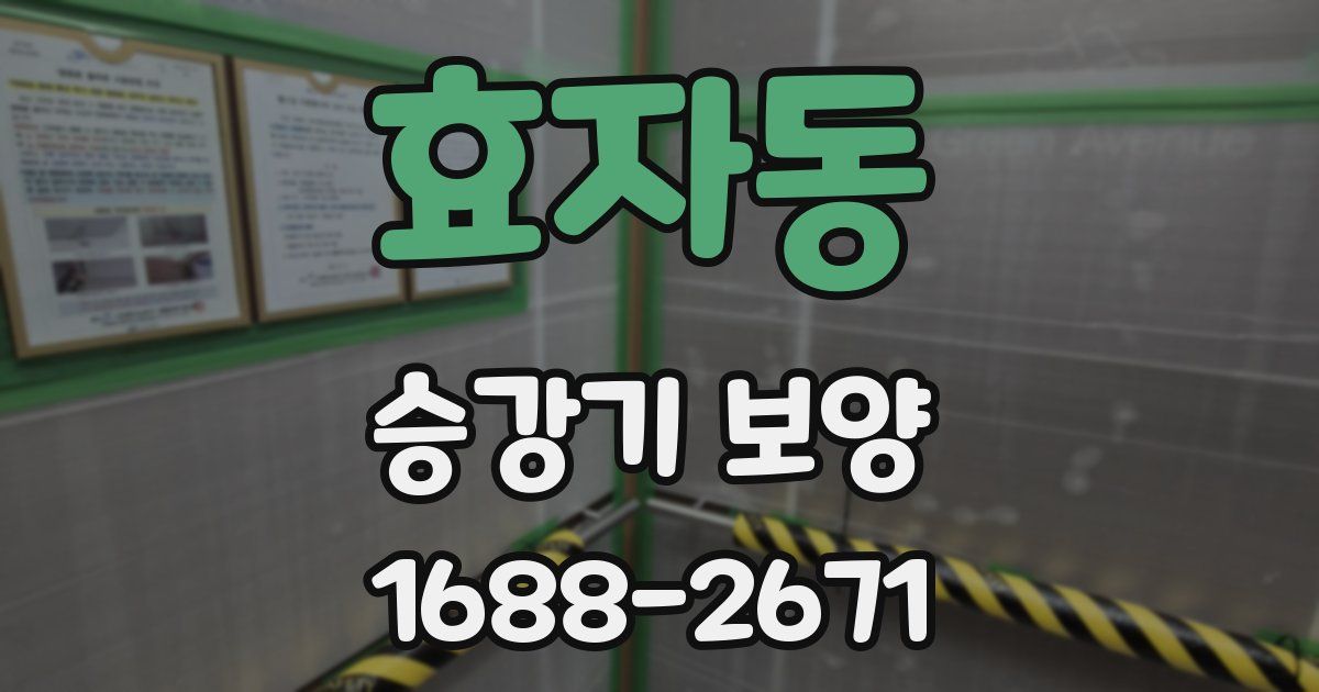 효자동 승강기 보양