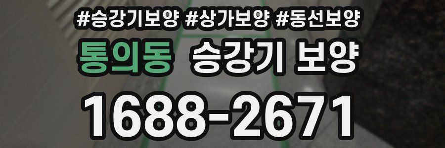 통의동 승강기 보양