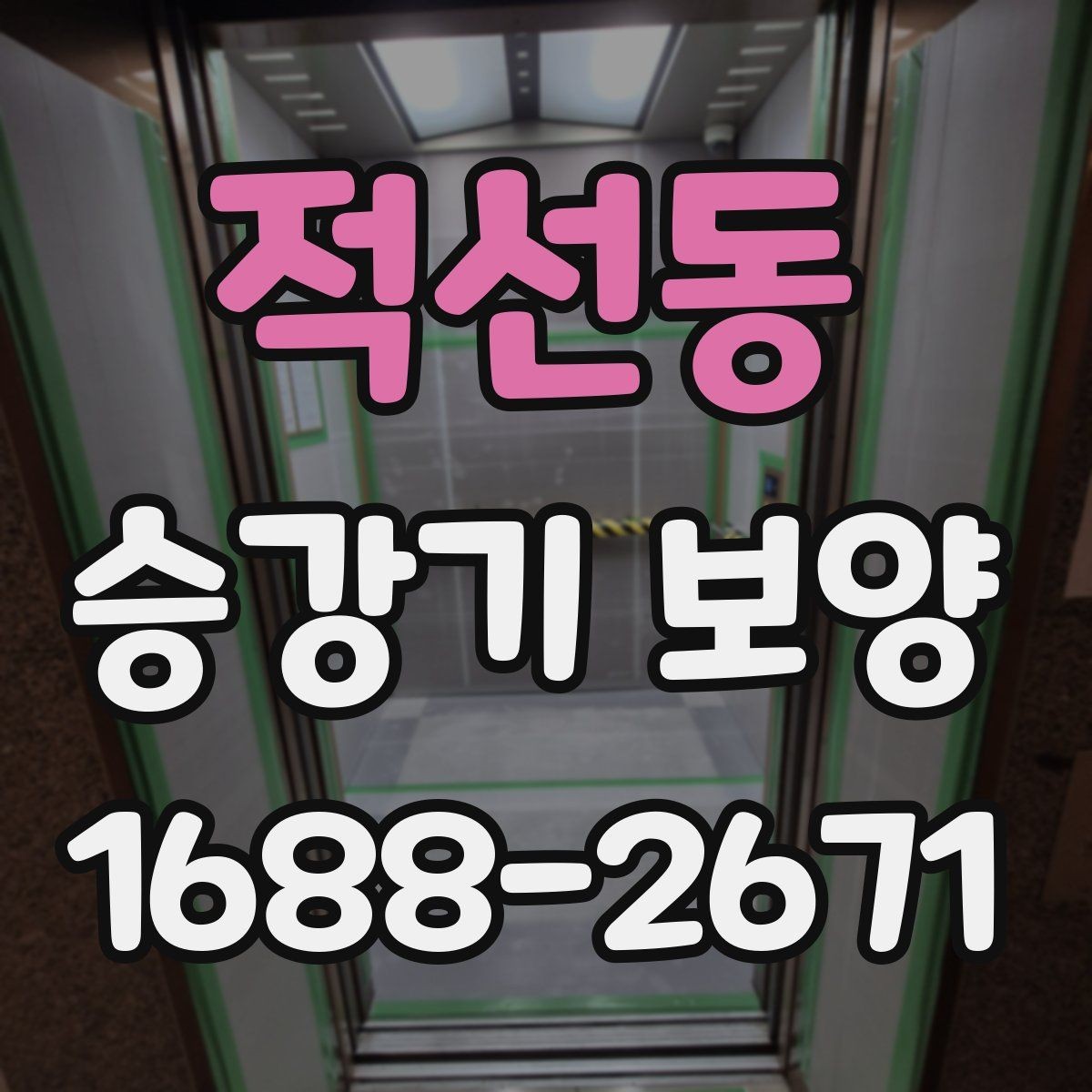 적선동 승강기 보양 보호해야 할 구간 확대가 필요한 경우