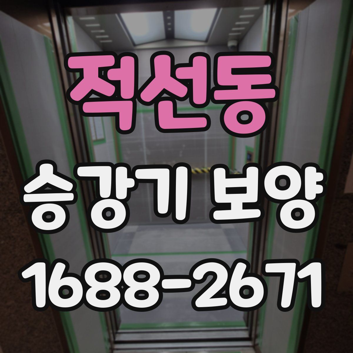 적선동 승강기 보양