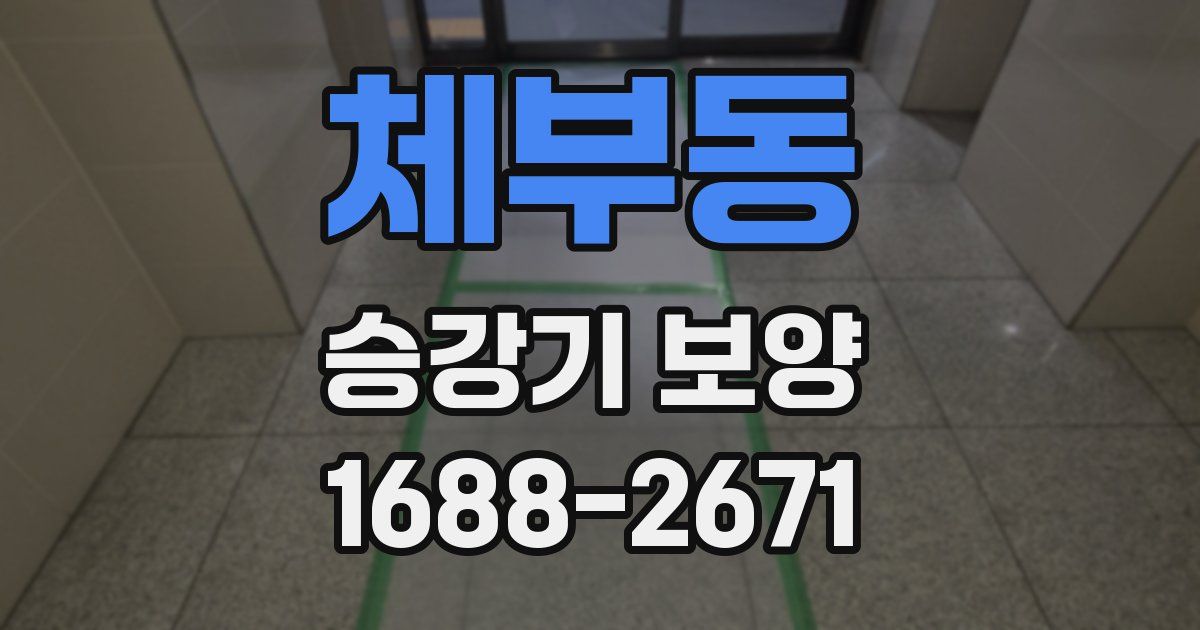체부동 승강기 보양
