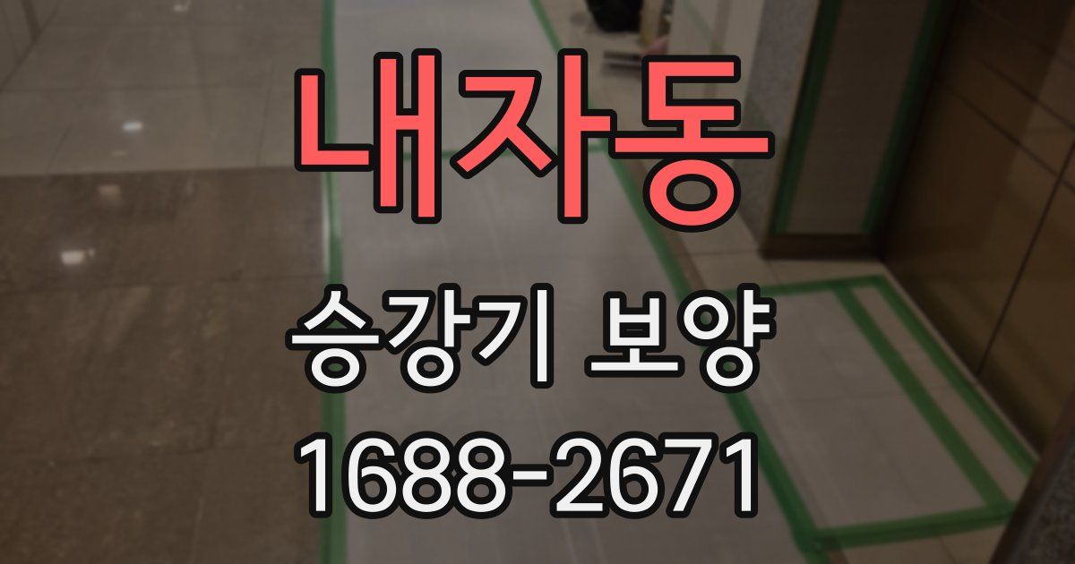 내자동 승강기 보양