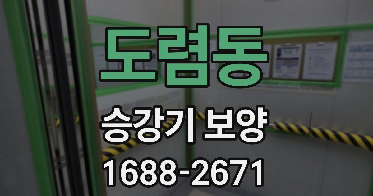 도렴동 승강기 보양