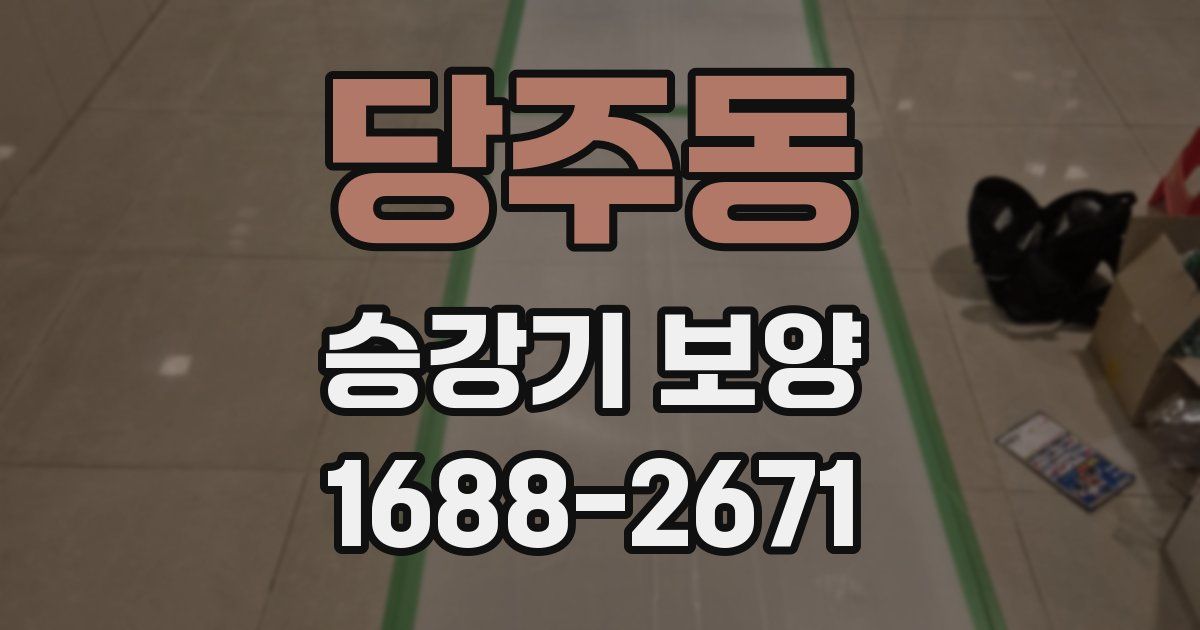 당주동 승강기 보양