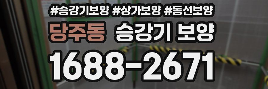 당주동 승강기 보양