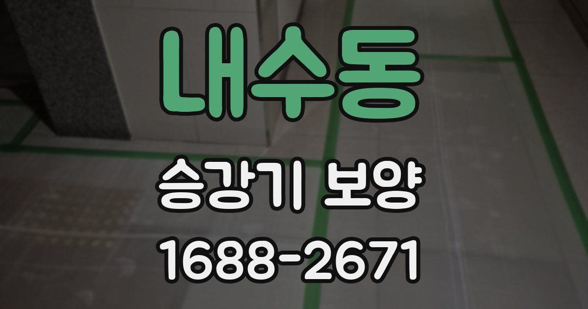 내수동 승강기 보양