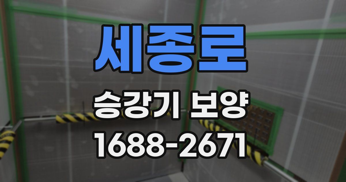 세종로 승강기 보양