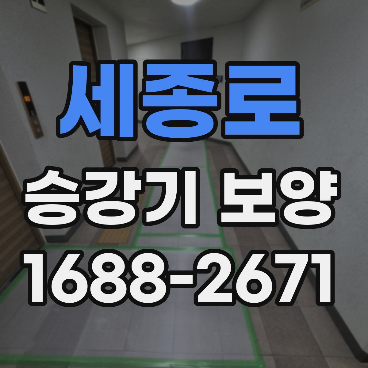 세종로 승강기 보양