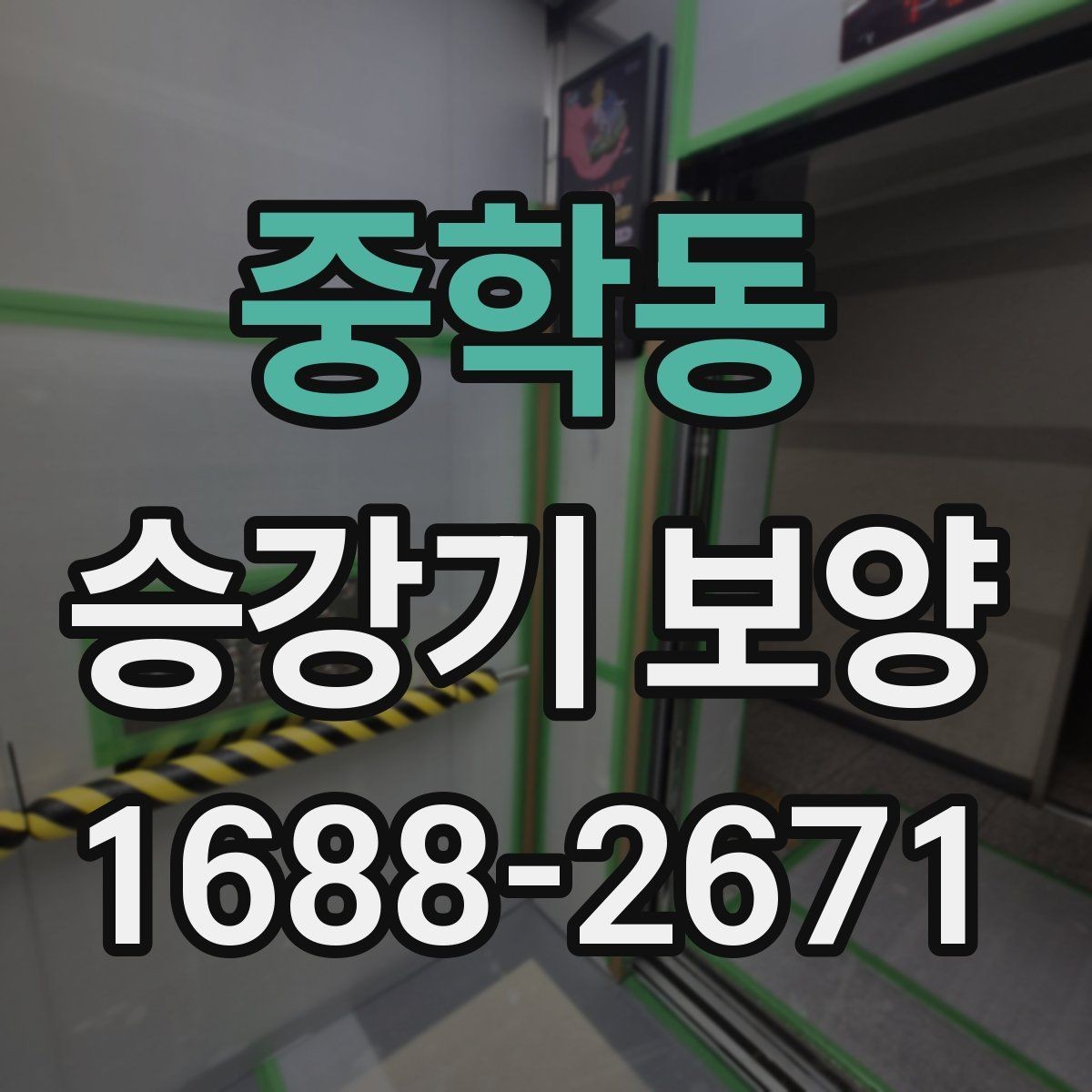 중학동 승강기 보양 작업 범위가 달라지는 경우