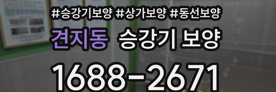 견지동 승강기 보양