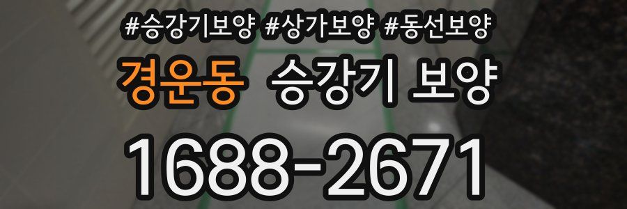 경운동 승강기 보양