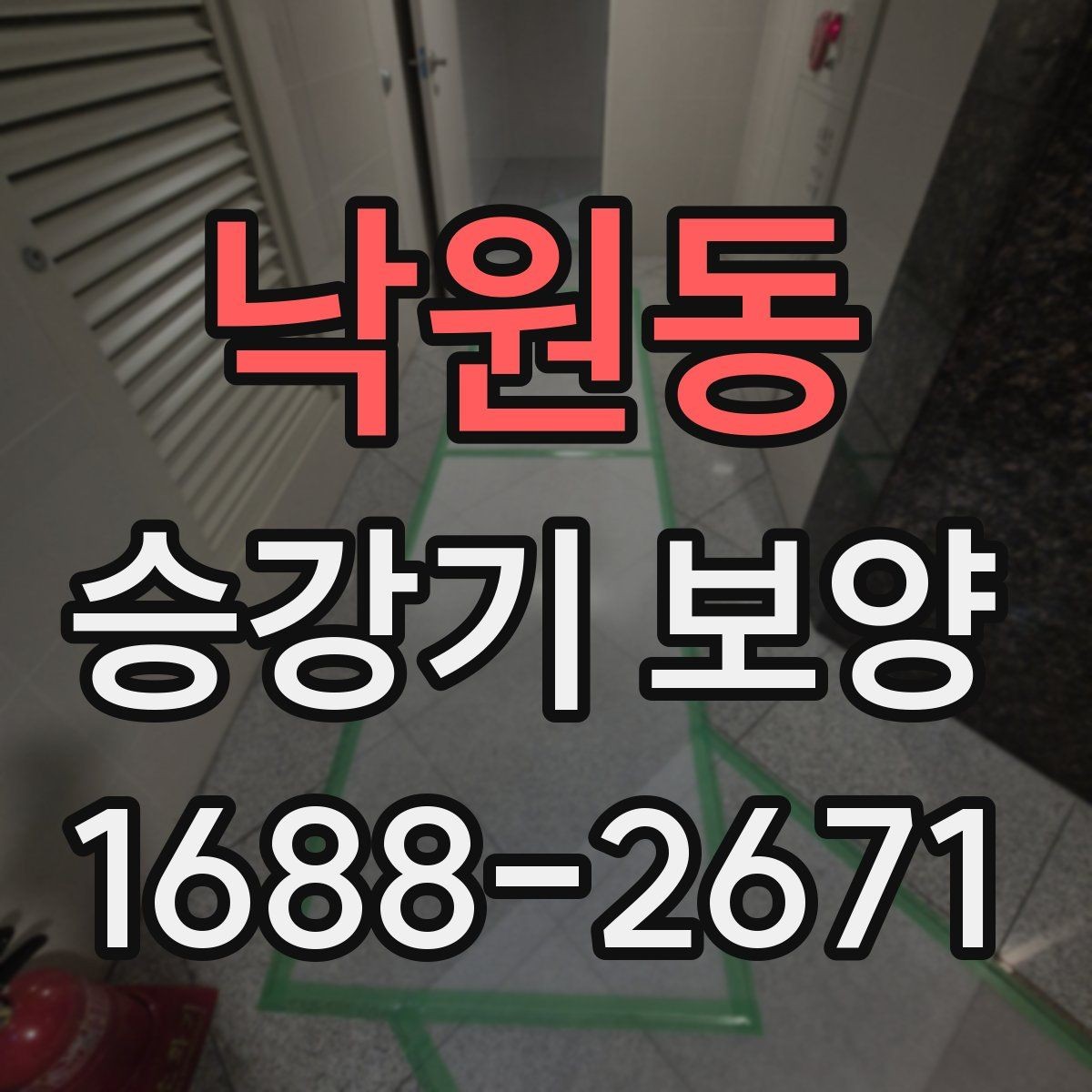낙원동 승강기 보양 후 오염 방지를 위한 관리법
