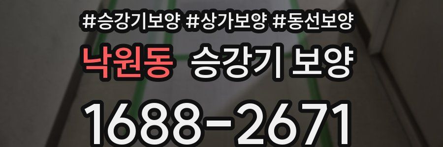 낙원동 승강기 보양