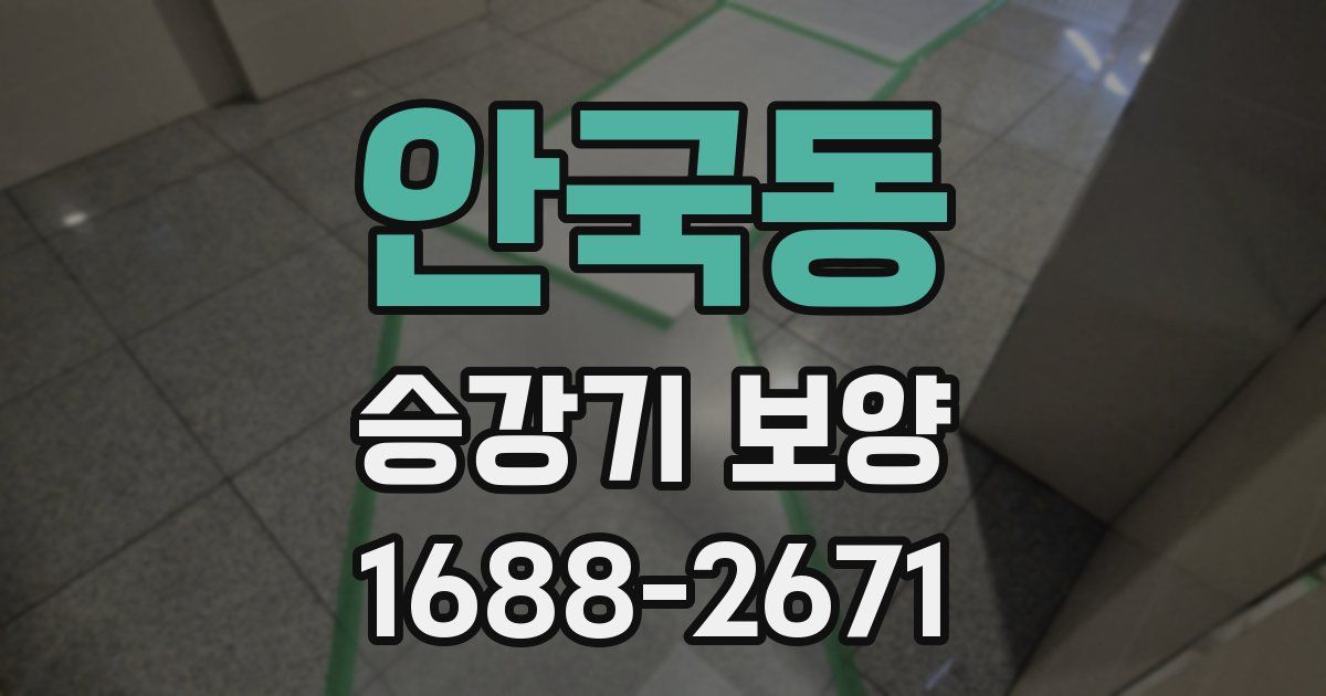 안국동 승강기 보양