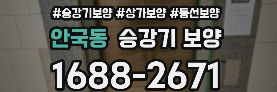 안국동 승강기 보양