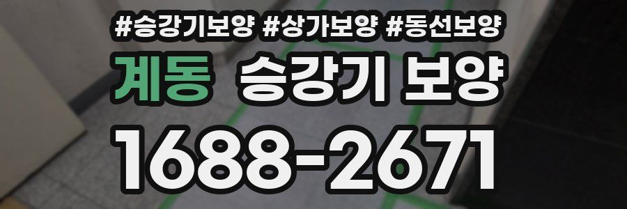 계동 승강기 보양