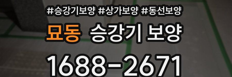 묘동 승강기 보양