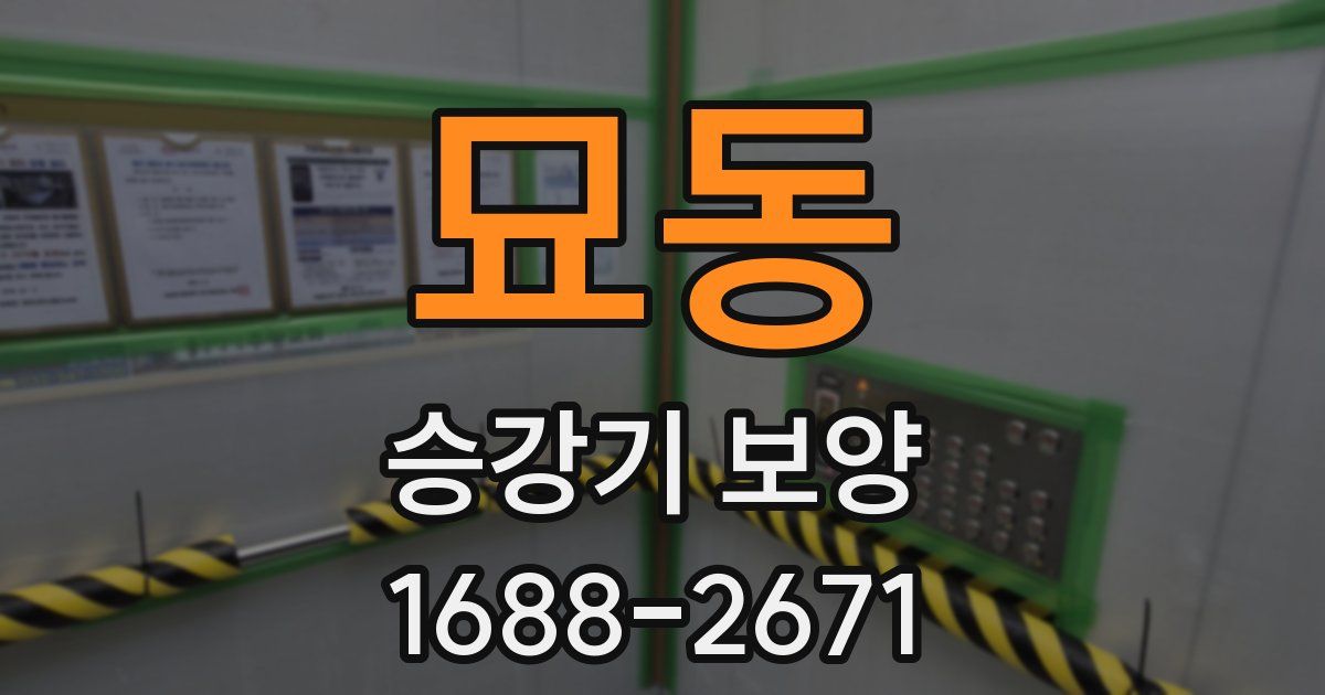 묘동 승강기 보양