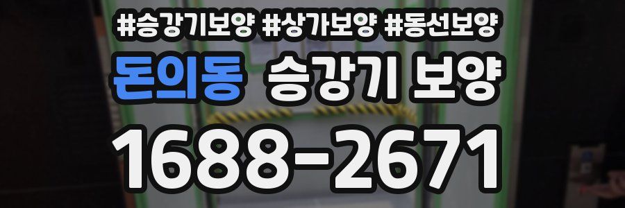 돈의동 승강기 보양
