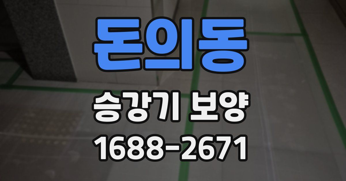 돈의동 승강기 보양