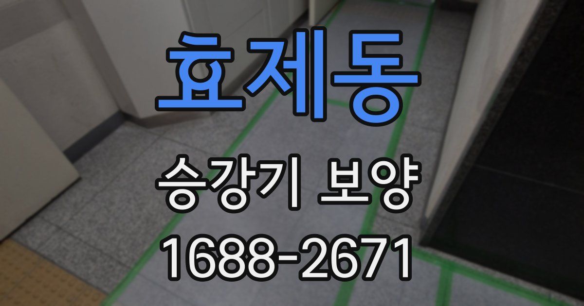 효제동 승강기 보양