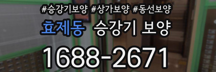 효제동 승강기 보양
