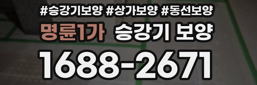명륜1가 승강기 보양