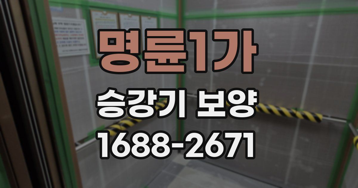 명륜1가 승강기 보양