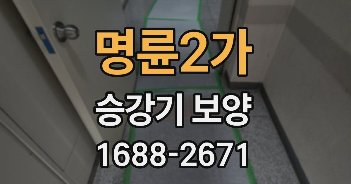 명륜2가 승강기 보양