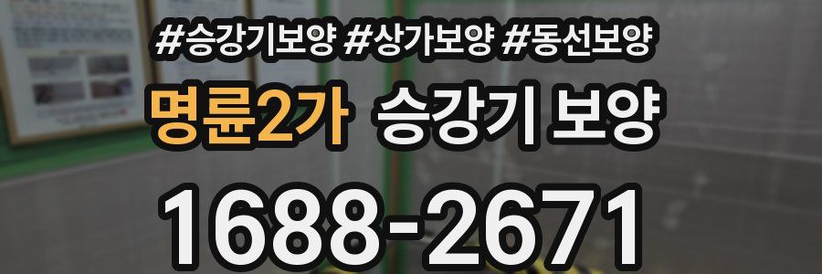 명륜2가 승강기 보양