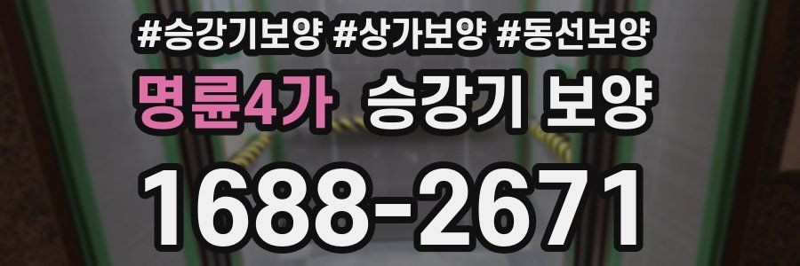 명륜4가 승강기 보양