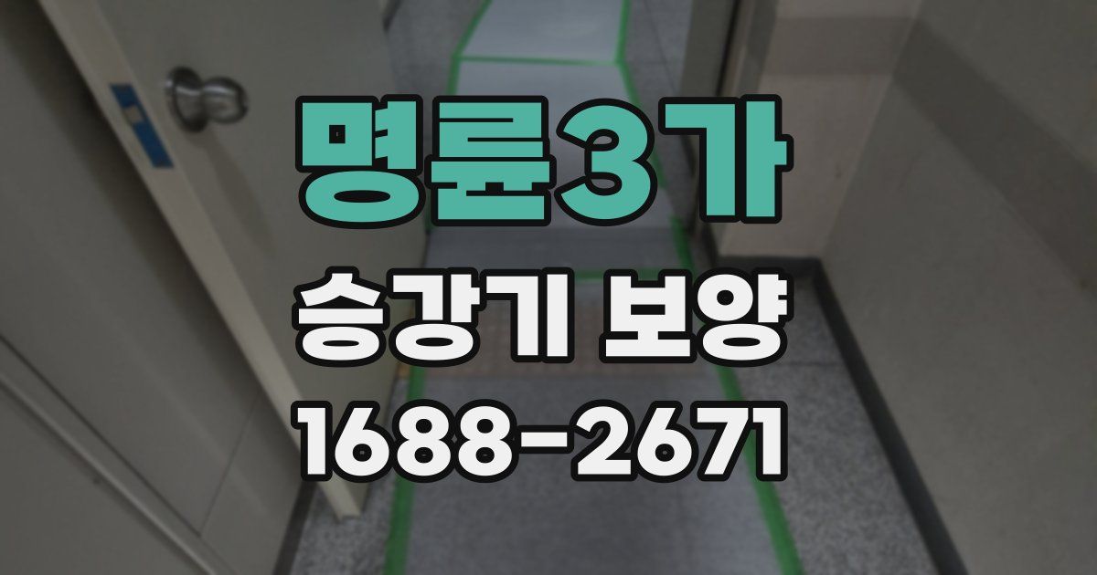 명륜3가 승강기 보양
