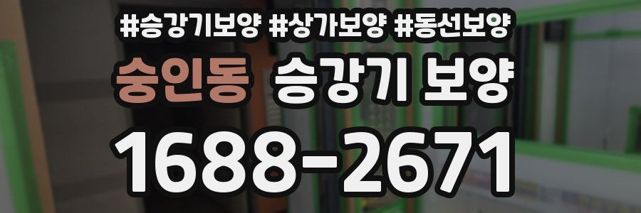 숭인동 승강기 보양