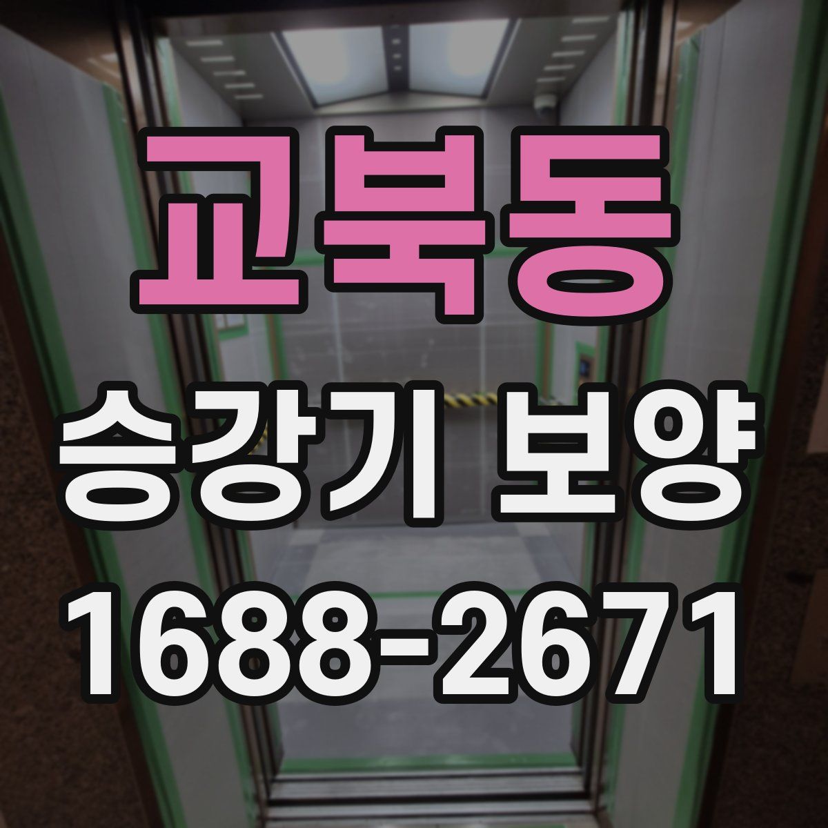 교북동 승강기 보양