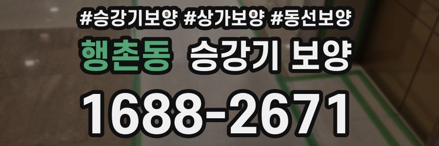 행촌동 승강기 보양